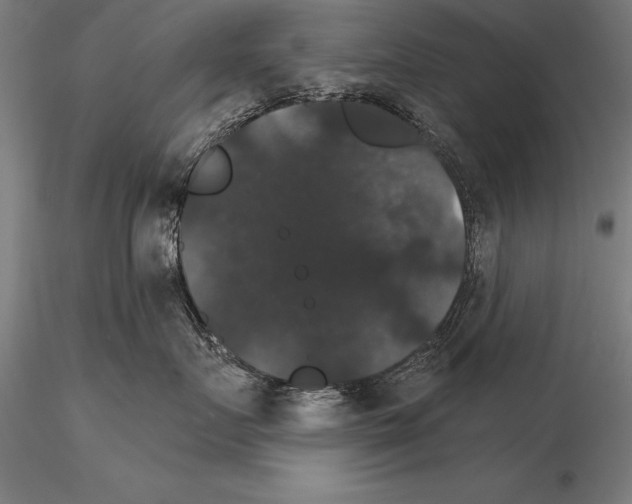 X0000115270719200912111203