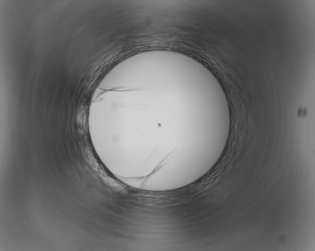 X0000115270720200912111203