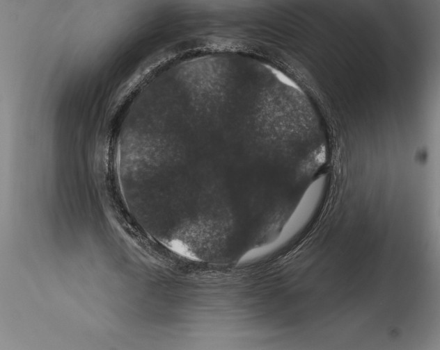 X0000115270722200912111202