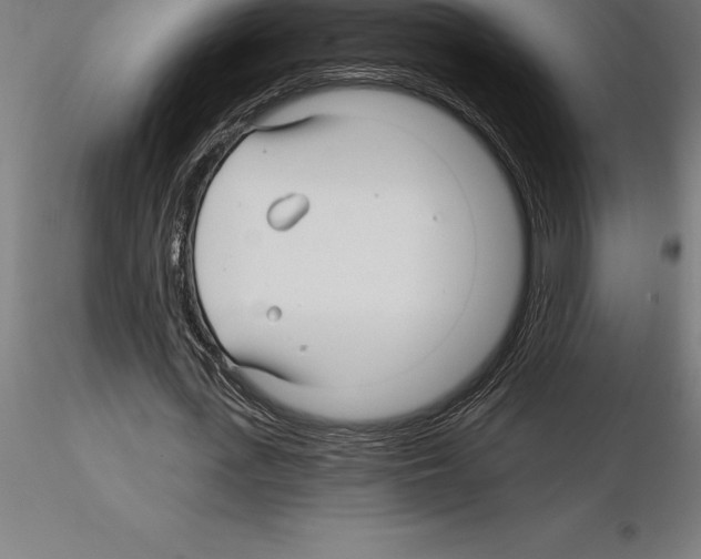 X0000115270723200912111202