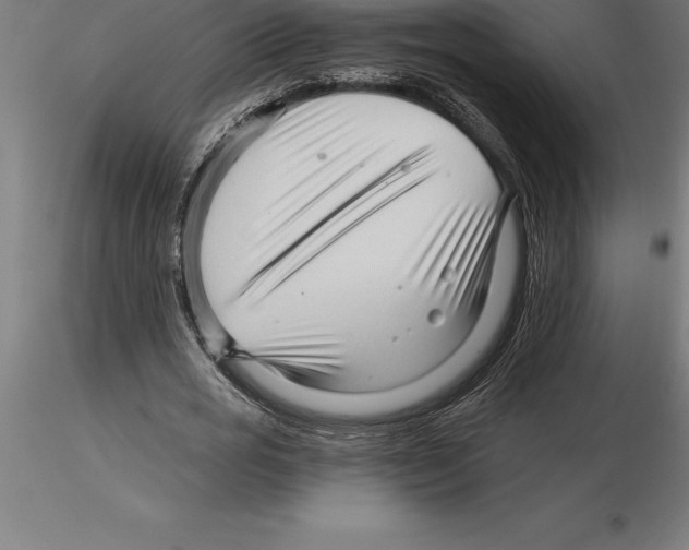 X0000115270725200912111202