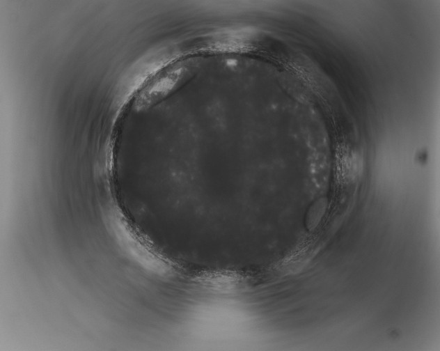 X0000115270726200912111202