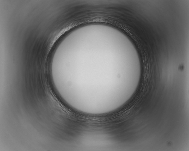 X0000115270727200912111202