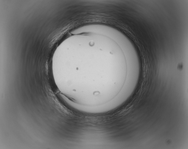 X0000115270729200912111202