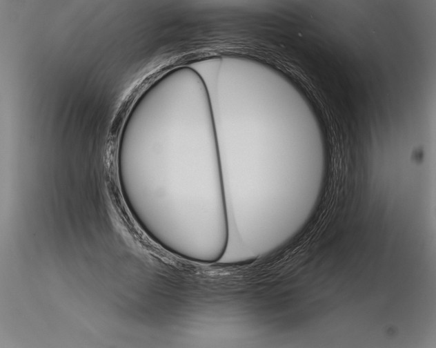 X0000115270730200912111202