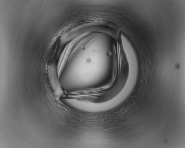 X0000115270731200912111202