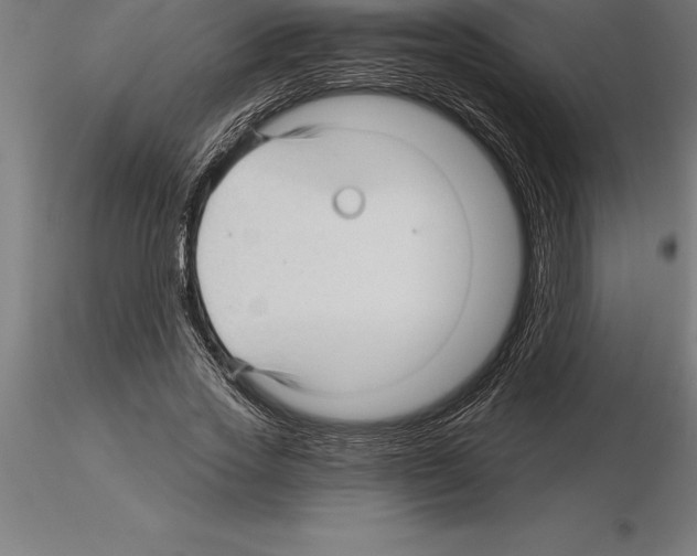 X0000115270733200912111202