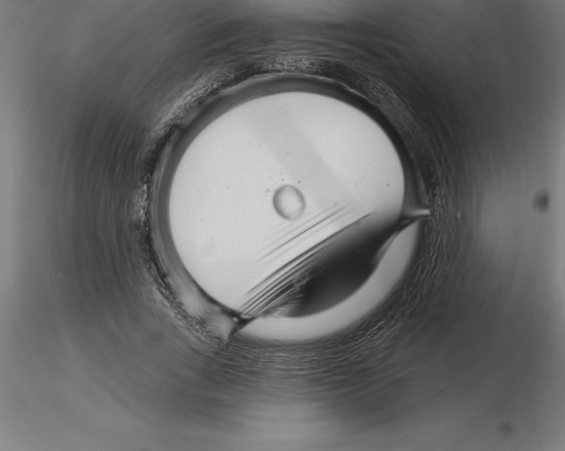 X0000115270735200912111202