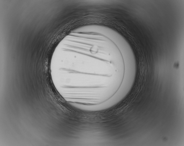 X0000115270737200912111202