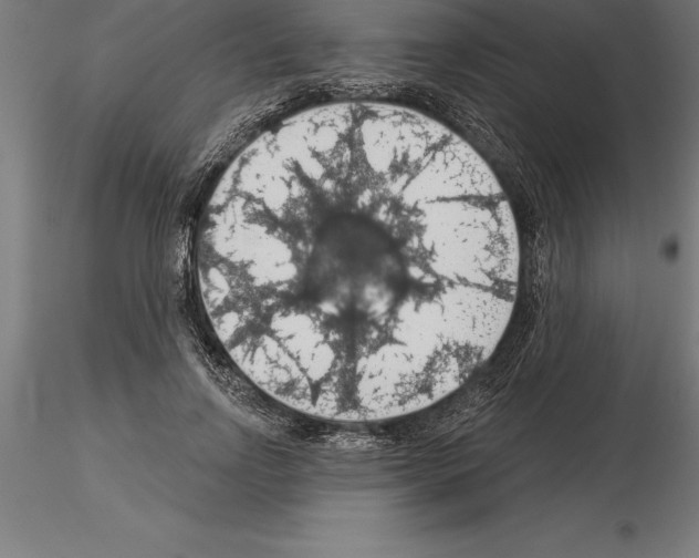 X0000115270742200912111202