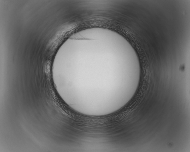 X0000115270745200912111203