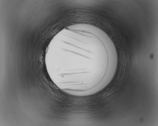 X0000115270749200912111203