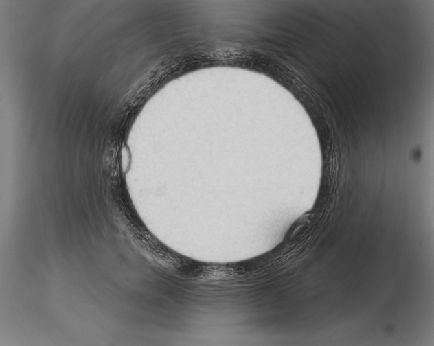 X0000115270750200912111203