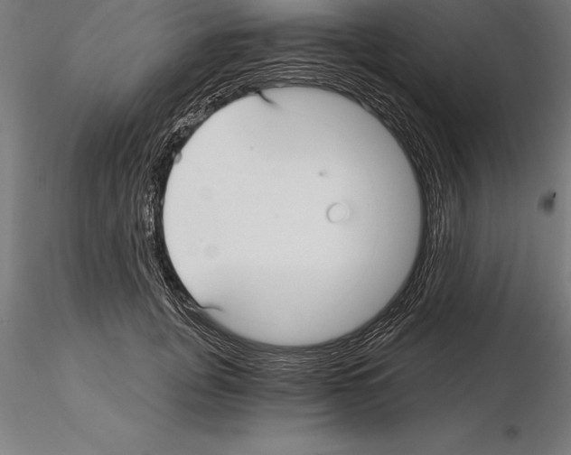 X0000115270751200912111203