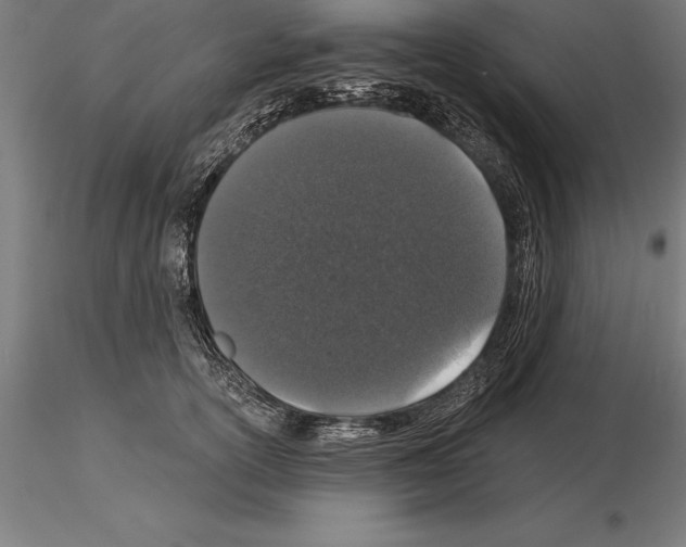 X0000115270754200912111203