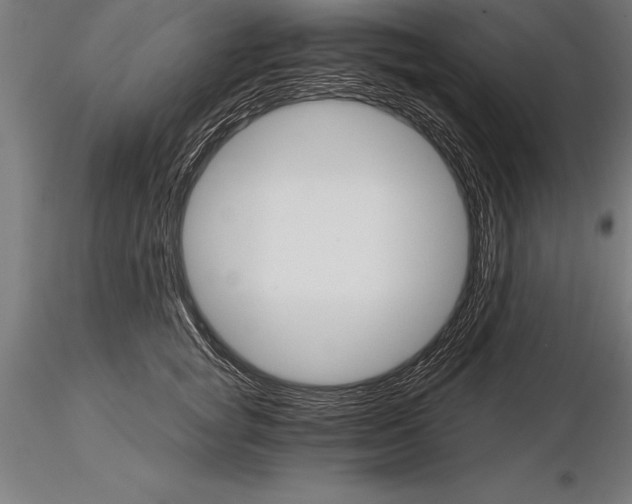 X0000115270757200912111203