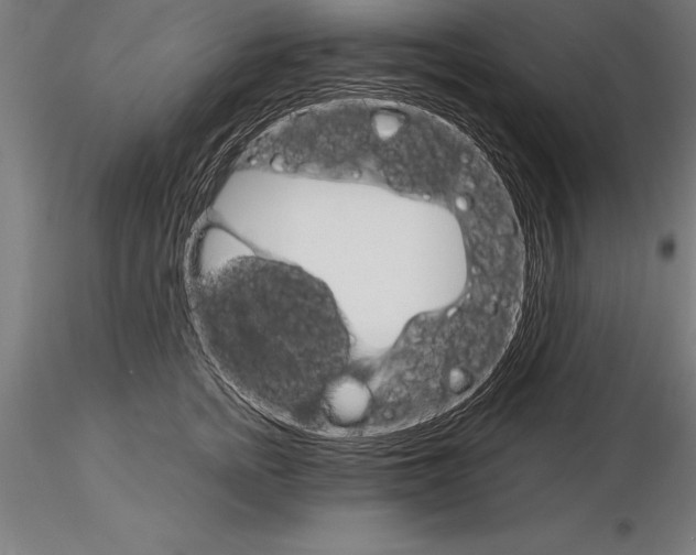 X0000115270758200912111203