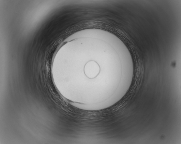 X0000115270761200912111203