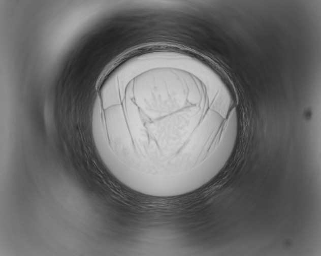 X0000115270762200912111203