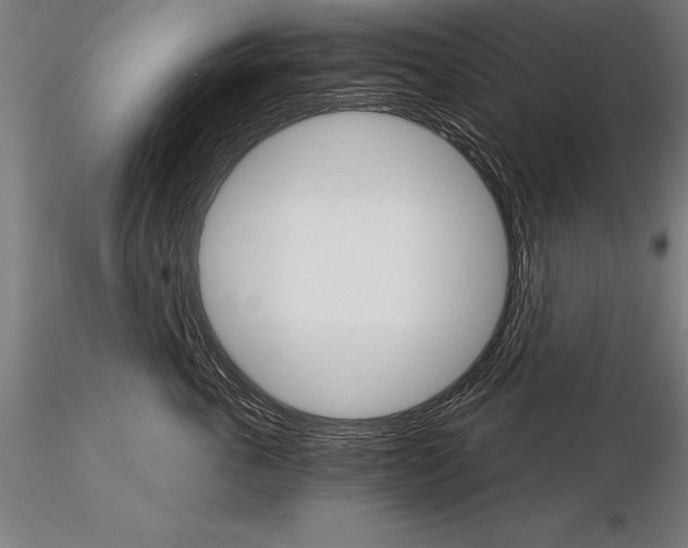 X0000115270763200912111203