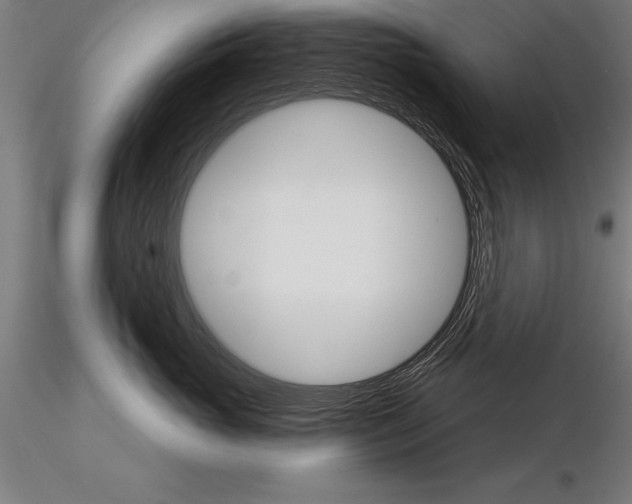 X0000115270765200912111203