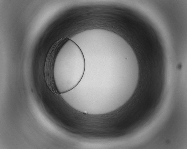 X0000115270766200912111203