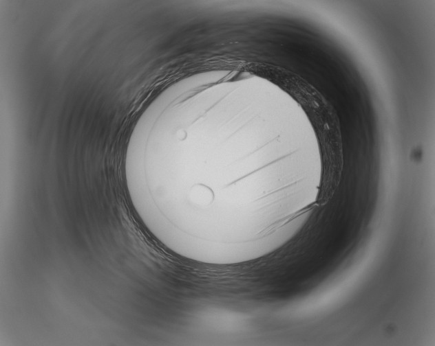 X0000115270767200912111203