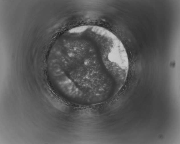 X0000115270769200912111202