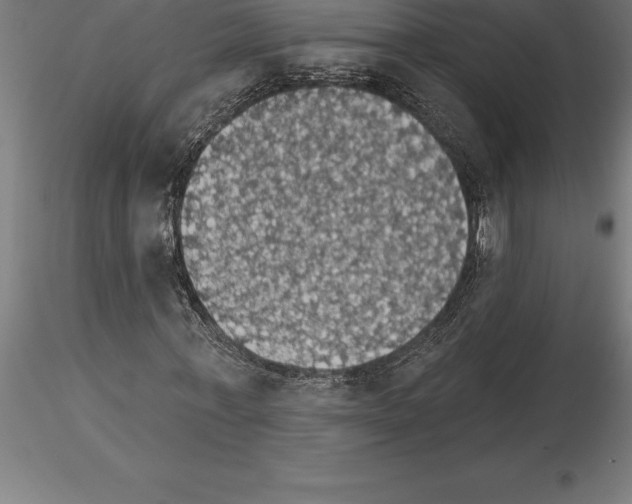 X0000115270771200912111202