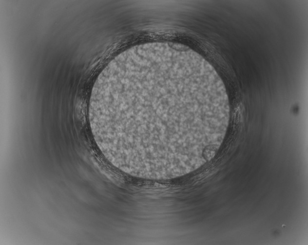 X0000115270772200912111202