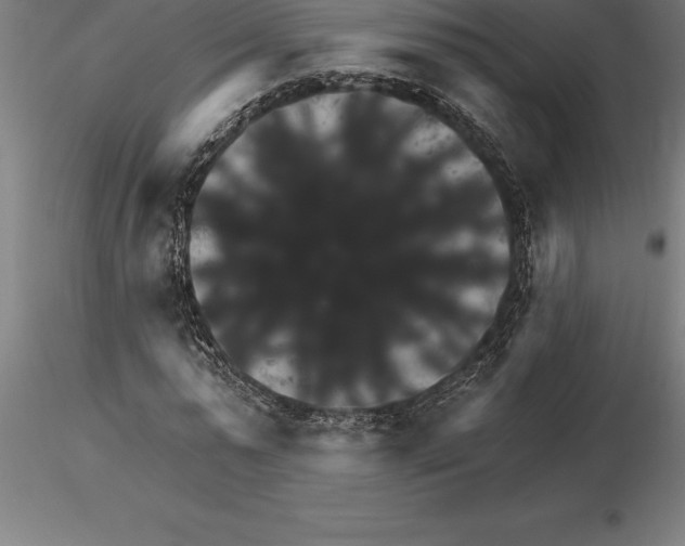 X0000115270775200912111202