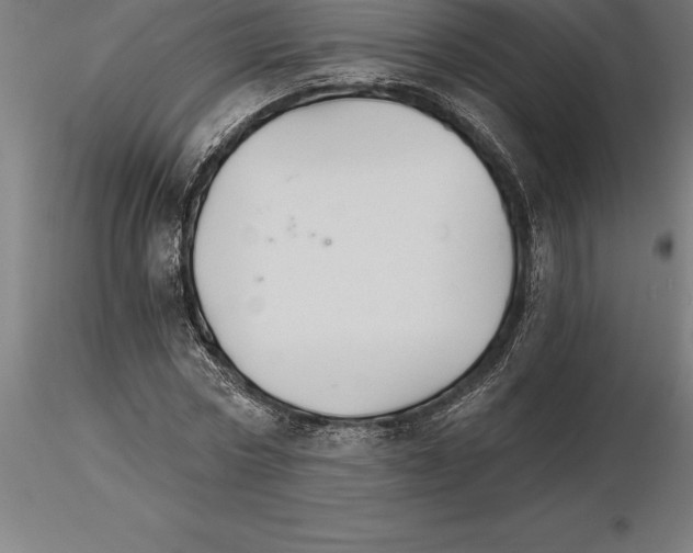 X0000115270778200912111202