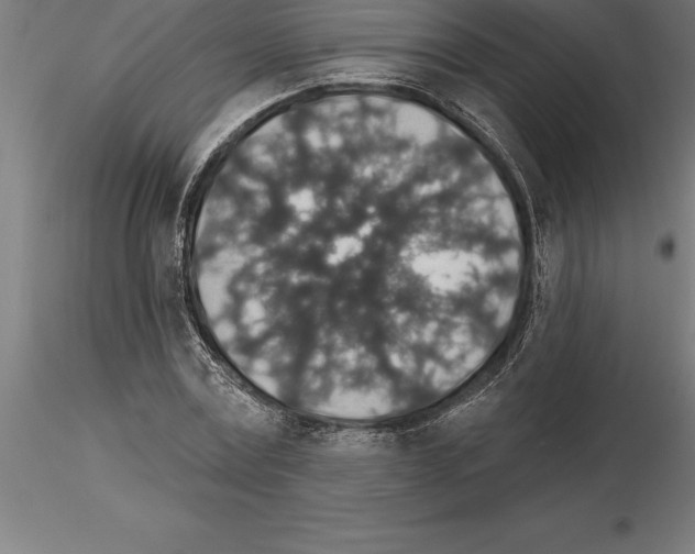 X0000115270779200912111202