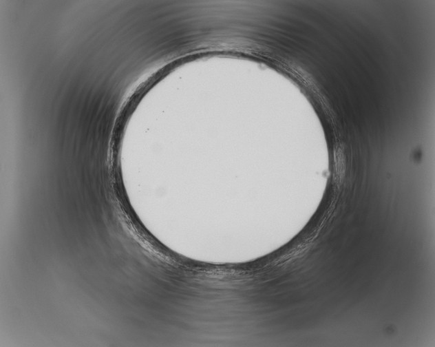 X0000115270780200912111202