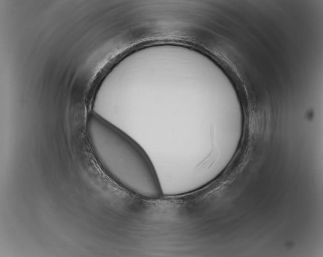 X0000115270781200912111202