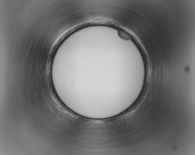 X0000115270783200912111202