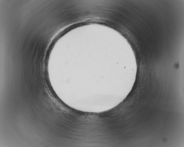 X0000115270784200912111202