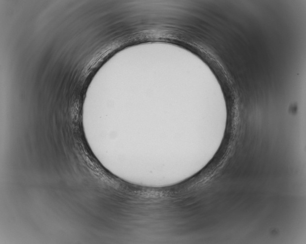 X0000115270785200912111202