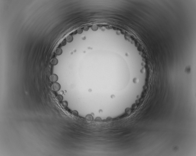 X0000115270786200912111202