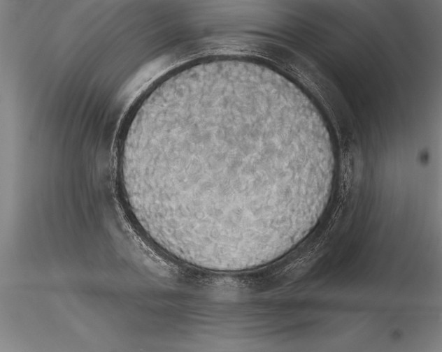 X0000115270787200912111202