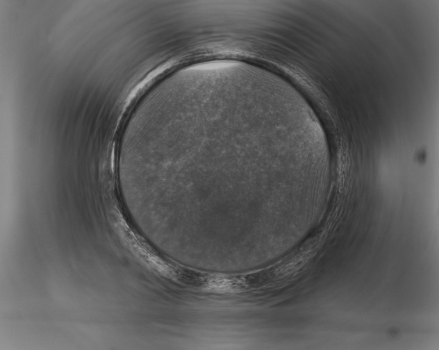 X0000115270790200912111202