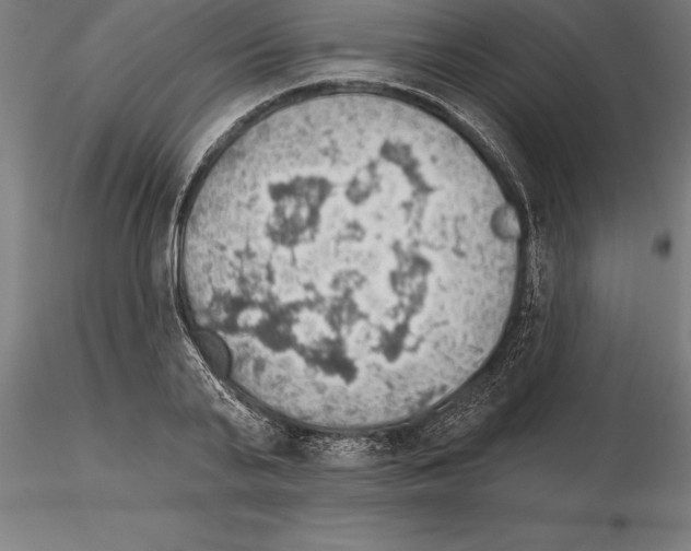 X0000115270791200912111202