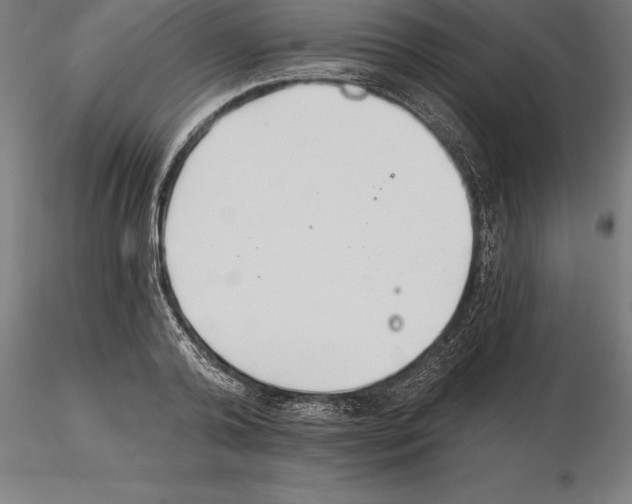 X0000115270792200912111202