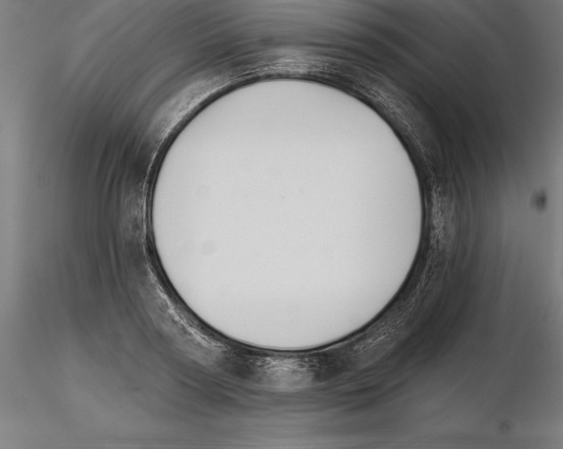 X0000115270794200912111202