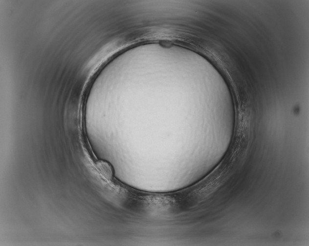 X0000115270795200912111202