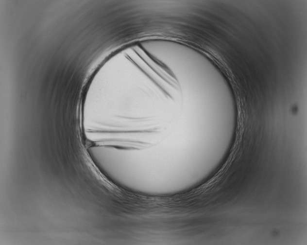 X0000115270796200912111202