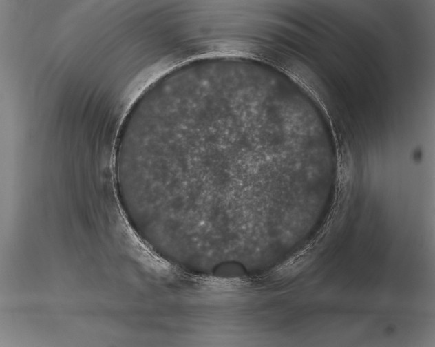 X0000115270797200912111202