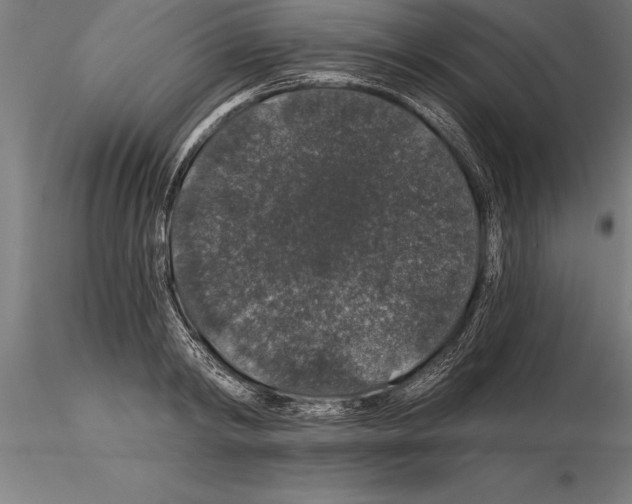 X0000115270798200912111202