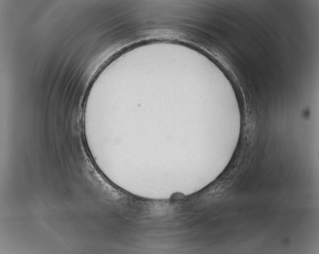 X0000115270799200912111202