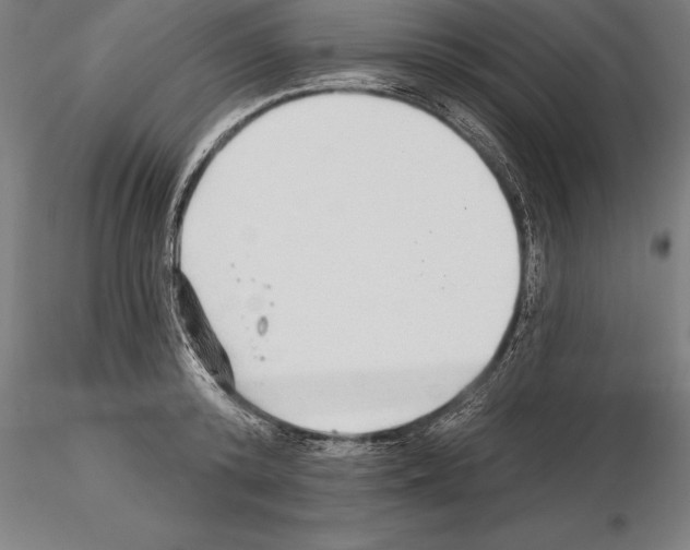 X0000115270800200912111202